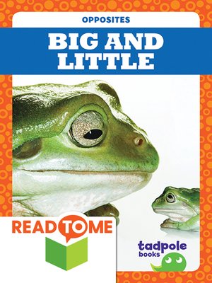 cover image of Big and Little